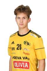 Daniil Ruzevitš